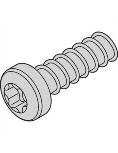 Śruba SCHROFF do głowicy cylindrów, Torx, M2,5 x 7,3 mm, samogwintująca, średnia ocynkowana