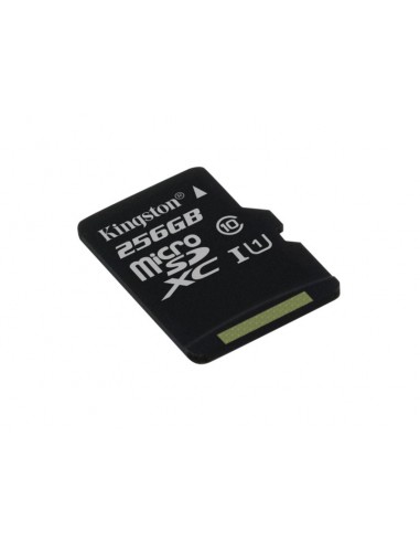 Karta pamięci KINGSTON Micro SDHC 256GB bez adaptera, class 10 (SDCS/256GBSP)